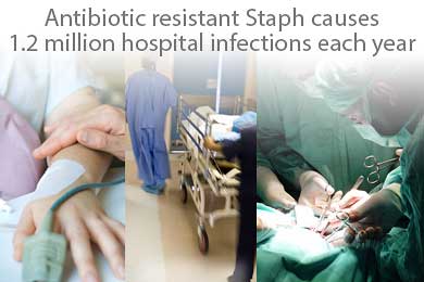 Antibiotic resistant Staph causes 1.2 million hospital infections each year