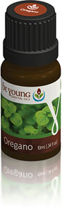 The antimicrobial strength of oregano oil comes from its natural thymol and carvacrol content.