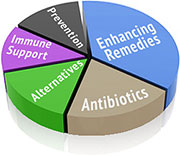 Alternative treatments, antibiotics and remedies that enhance antibiotics are all valid options, depending on the type of Staph or MRSA you have.