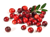 cranberries are antibacterial