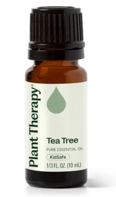 melaleuca or tea tree oil by plant therapy