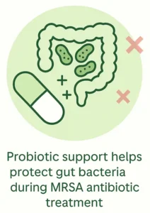 Probiotic support during antibiotic treatment